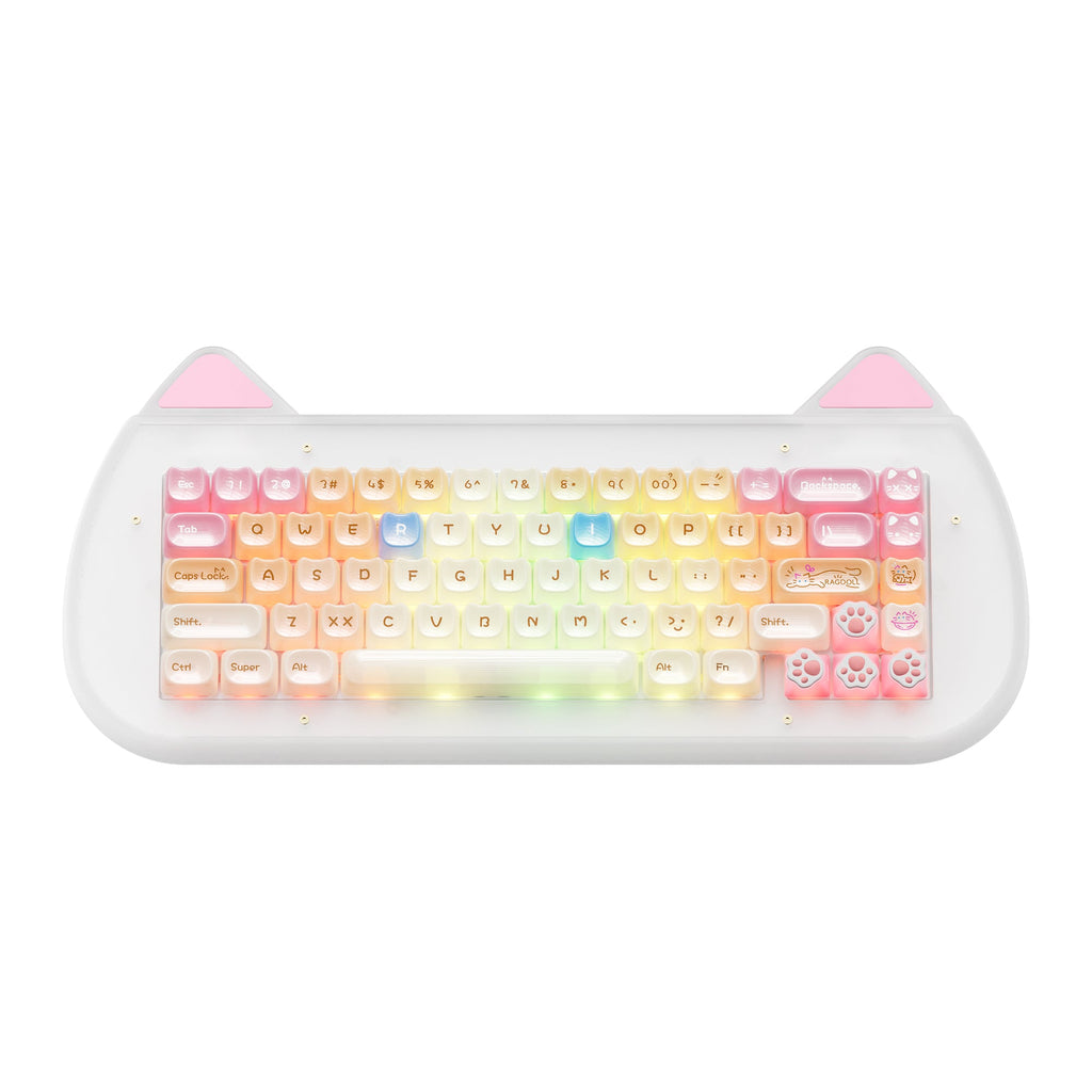 XVX C67 AcriCat Themed Wireless Acrylic Mechanical Keyboard