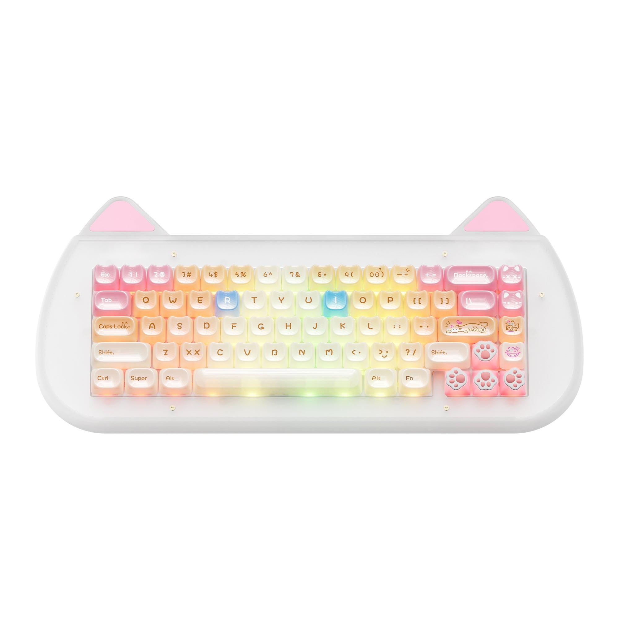 XVX C67 AcriCat Themed Wireless Acrylic Mechanical Keyboard