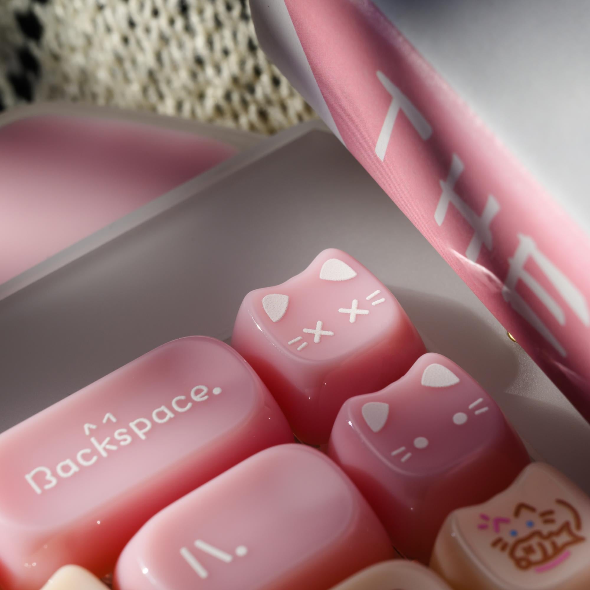 XVX C67 AcriCat Themed Wireless Acrylic Mechanical Keyboard